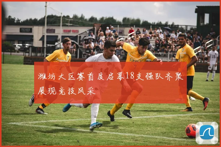 潍坊大区赛首度启幕18支强队齐聚展现竞技风采