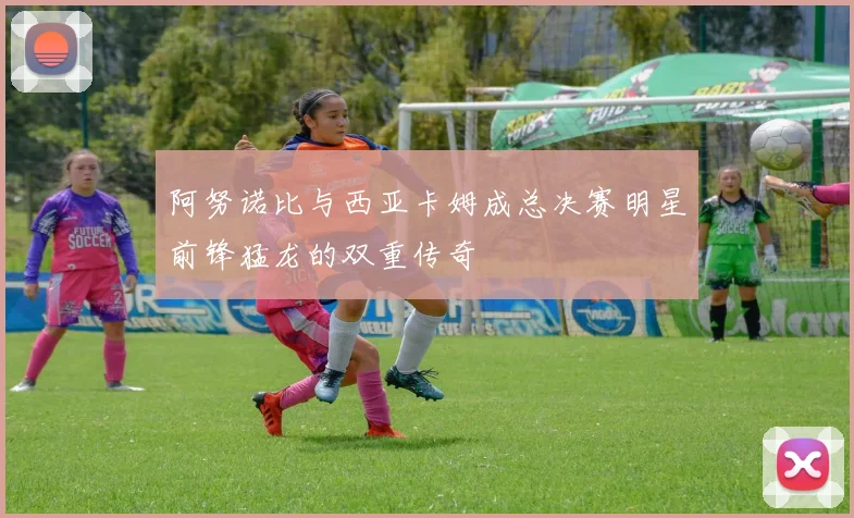 阿努诺比与西亚卡姆成总决赛明星前锋猛龙的双重传奇